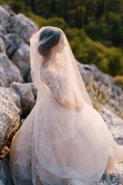 Duvak takmış bir gelinin yakın plan portresi. Karadağ 'daki Lovchen Dağı' nda sanat eseri bir düğün fotoğrafı.