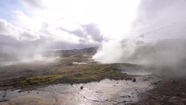 Geyser Valley, no sudoeste da Islândia. A famosa atração turística Geysir. Zona geotérmica Haukadalur. Geyser Strokkur nas encostas da colina Laugarfjall . — Vídeo de Stock