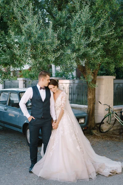 Wedding couple cuddles on the background of a large olive tree and a vintage blue car. Fine-art wedding photo in Montenegro, Perast. — Stock Photo, Image