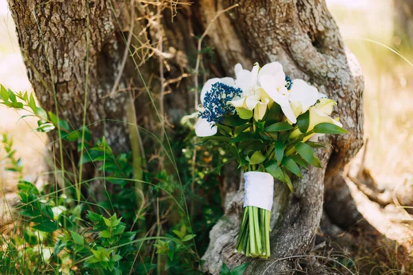 Ramo nupcial de lirios de cala blancos y mahonia azul cerca del árbol — Foto de Stock