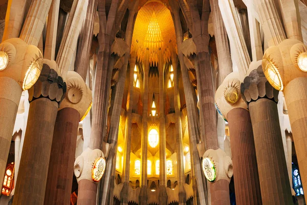 Innenräume der Sagrada Familia - Säulen, Gewölbe, Glasmalerei und Decken in Barcelona, Spanien. — Stockfoto
