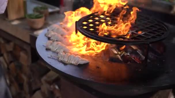 The chef grills the squid on wooden skewers. — Stock Video