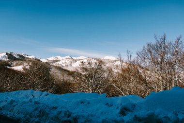 Karadağ 'ın Durmitor Milli Parkı' nda karla kaplı zirveler, Zabljak.
