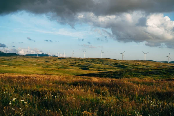 Большое количество ветряных турбин стоят в поле на закате, горизонт с голубым небом и бархатными облаками. — стоковое фото