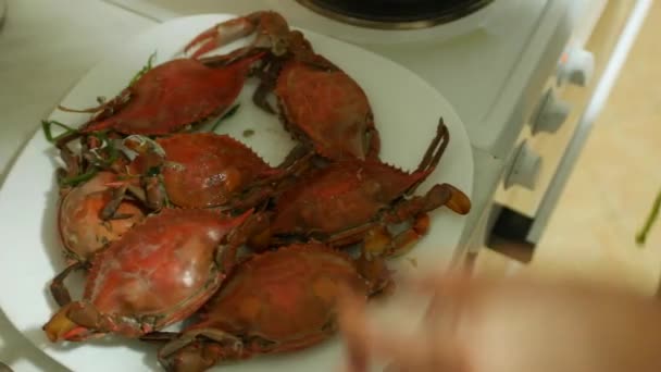 El chef pone fuera de la sartén en un plato de cangrejos azules cocidos al rojo . — Vídeo de stock