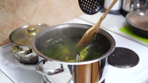 Dyk ner den blå krabban i kokande vatten i en kastrull på köksspisen. — Stockvideo