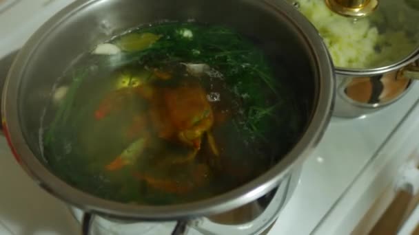 青いカニは鍋で調理されます。男性の手は沸騰した水の中にカニを置く. — ストック動画