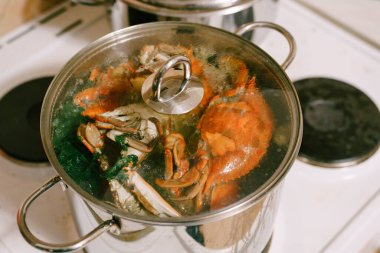 Tencerede kırmızı haşlanmış yengeç. Mavi yengeçler cam kapaklı bir tencerede pişirilir..