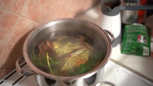 Kokken koger blå krabber, en delikatesse blandt fisk og skaldyr. – Stock-video