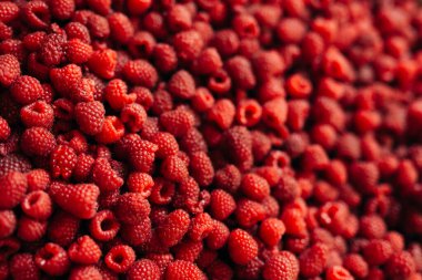 Çekmecede ahududu dokusu. Bir sürü taze böğürtlenin arka planı.