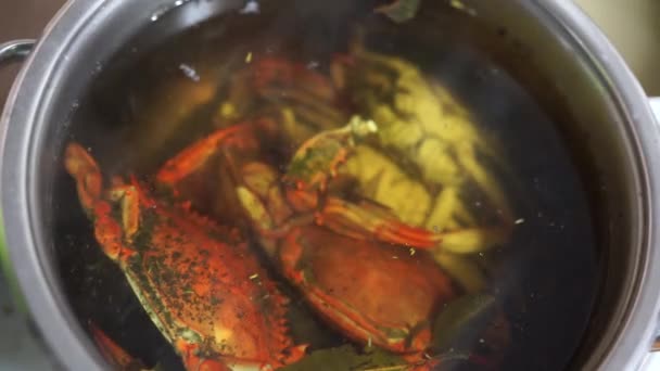 Blaue Krabben in einem Topf in kochendem Wasser mit Gewürzen. — Stockvideo