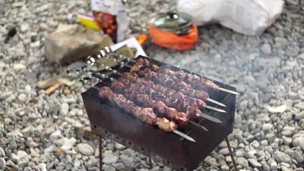 Marinerad shashlik förbereder sig på en grill över träkol. Shashlik eller Shish kebab populär i Östeuropa. Shashlyk var ursprungligen gjord av lamm. Grillat kött. Kött på spett som grillas på eld — Stockvideo