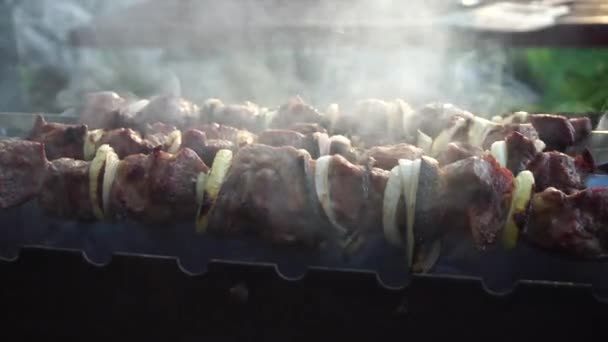 Shashlik på eld stekt, vackert brynt kött på grillen. Stekt rysk shashlik. Kött vid brasan — Stockvideo