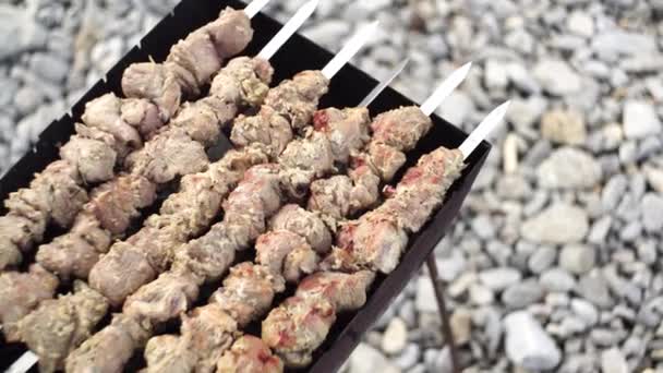 Meat on skewers. Marinated shashlik preparing on a barbecue grill over charcoal. Appetizing meat grilled on skewers. Cooking shashlik. Grilling pork on coal — Stock Video