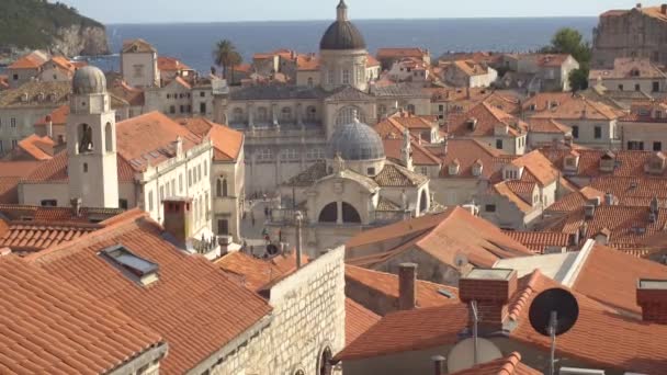 Katedralen över antagandet av Jungfru Maria i den gamla staden Dubrovnik Dubrovnik. Kyrka med en stor kupol. — Stockvideo