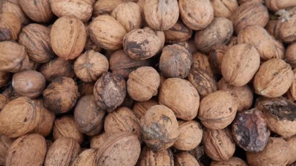 Takže mana vlašské ořechy vzor texturované pozadí. Skupina neloupaných hnědých ořechů v supermarketu. — Stock video