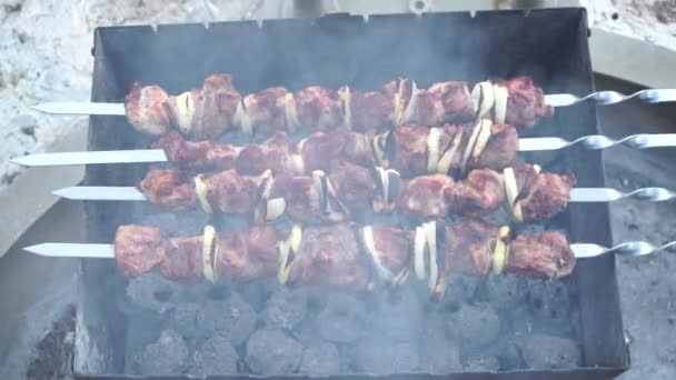 Carne em espetos. Shashlik marinado preparando-se em uma grelha de churrasco sobre carvão vegetal. Carne apetitosa grelhada em espetos. Cozinhar shashlik. Carne de porco grelhada a carvão — Vídeo de Stock