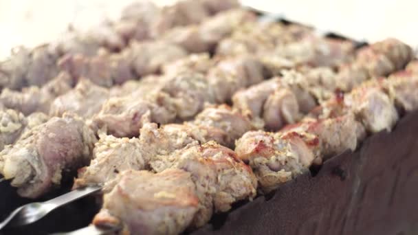 Close-up of roasted kebabs on skewers, on grill. — Stock Video