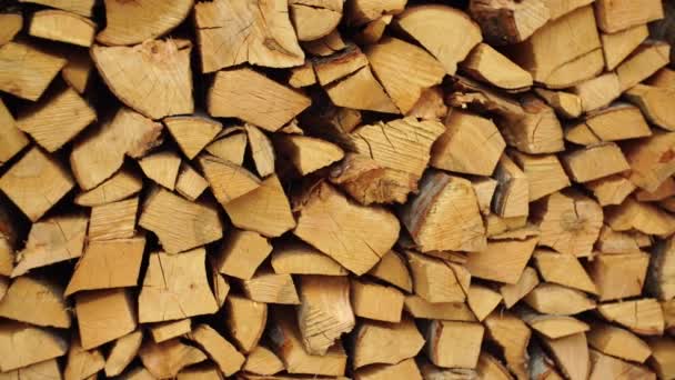 Dřevěné klády, trámy, palivové dříví, rám. Dřevěné klády dřevěné pozadí. Palivo. Těžba palivového dříví na zimu. — Stock video