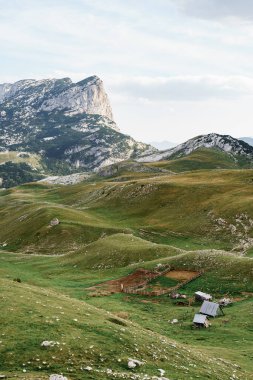 Karadağ dağları arasında, Durmitor ulusal parkında, Zabljak 'taki yeşil tepelerde boş bir koyun ağılı..