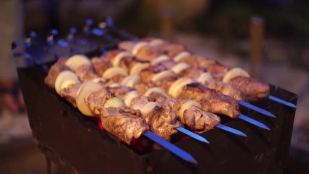 Meat on a spit. pork grill. smoking barbecue on the street. cooking chicken shashlik. burning coals. — Stock Video