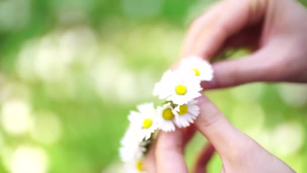 一个女人的亲密的手。一个女孩编织了一个雏菊花环. — 图库视频影像