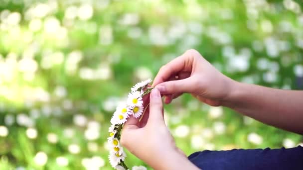 A close-up of womens hands. A girl weaves a wreath of daisies.