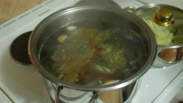 Un grand crabe bleu est bouilli dans une casserole sur une cuisinière dans de l'eau bouillante. Le crabe de mer rougit de la cuisine. — Video