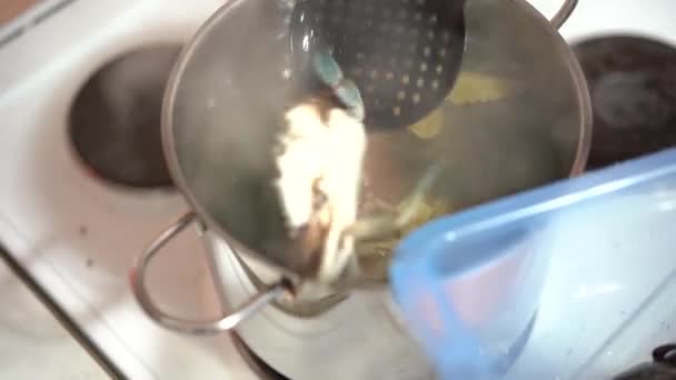 De kok doet de blauwe krabben in kokend water. — Stockvideo