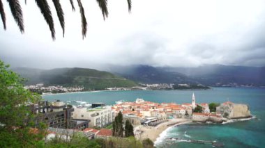 Eski Budva kasabası ve palmiye ağacı.