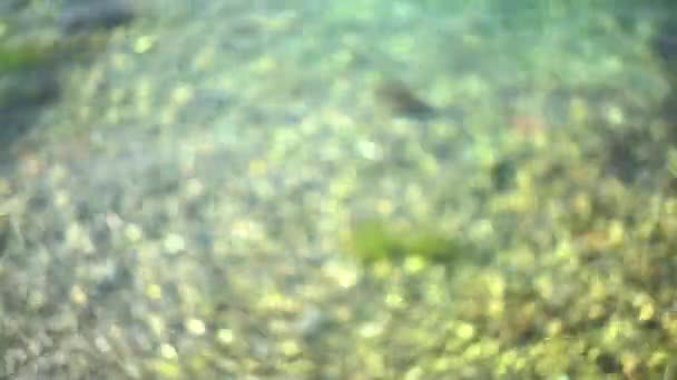 Bokeh słońce odbite flara na powierzchni wody, Abstrakcyjne rozmyte światła z bokeh nad morzem, musujące okrągłe animacji — Wideo stockowe