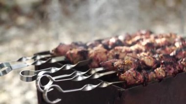 Barbeküde ızgara lezzetli yemeklere yakın çekim. Doğada lezzetli şiş kebap pişirme süreci. BBC 'deki metal şişte lezzetli yemekler. Piknik zamanı. Sokak yemeği. Yemek festivali. Kazıkta domuz eti