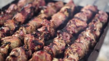 Salamura edilmiş şiş mangal ızgarasında mangal yapmaya hazırlanıyor. Akşam yemeği için lokantada kebap var. Kömürde sulu et. Geleneksel Rus ve Doğu mutfağı. Rusya 'da tatil pikniği