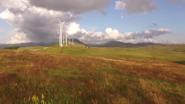 Turbinas eólicas en un campo amarillo con cielos azules y nubes blancas . — Vídeos de Stock