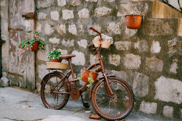 Bicicleta marrom com flor fica contra a parede de tijolo . — Fotografia de Stock