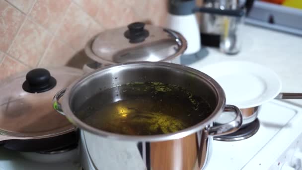 Si koki menempatkan kepiting biru yang hidup dalam panci berisi air mendidih. — Stok Video