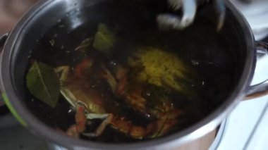 Aşçı canlı mavi yengeçleri kaynar suyun içine koyar..