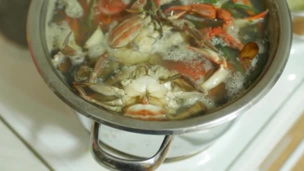 Nahaufnahme gekochter blauer Krabben in einer Pfanne mit kochendem Wasser. — Stockvideo