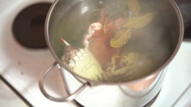 Le cuisinier met les crabes bleus dans de l'eau bouillante. — Video