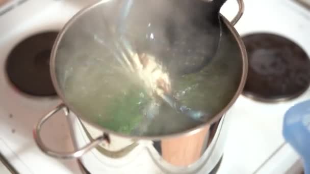 El cocinero pone los cangrejos azules en agua hirviendo. — Vídeo de stock