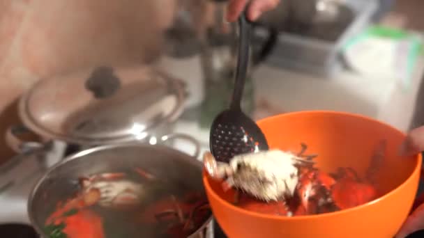 요리사는 프라이팬에서 요리 한 붉은 푸른색 게를 꺼내 접혀서 오렌지색 그릇에 넣는다. — 비디오