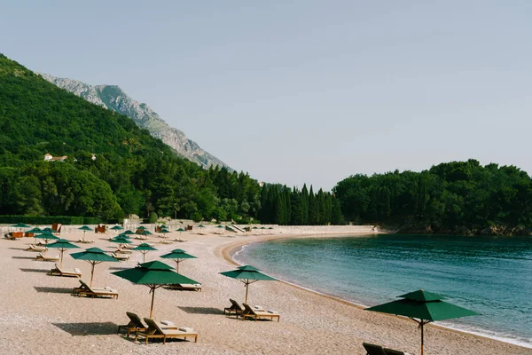 Luxurious kayu berjemur matahari dan payung pantai hijau, di pantai berpasir di Milocer Park, dekat Sveti Stefan Island, Montenegro. — Stok Foto