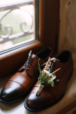 Damat tomurcuğu pencerede kahverengi ayakkabılar.