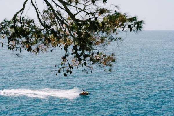 Un hombre en una moto acuática flota sobre el agua azul sobre el fondo del horizonte . — Foto de Stock