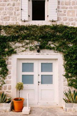 Yeşil üzümlerin altında gözlüklü beyaz bir kapı duvarda kıvrımlı ve açık bir pencere..