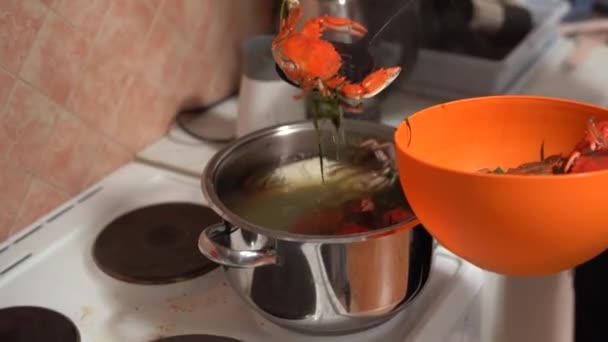 De kok haalt de gekookte rode blauwe krabben uit de pan en vouwt ze in een oranje kom. — Stockvideo