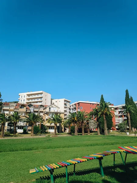 Karadağ 'ın Budva kentinde, şehir parkının yanında ve yeşil hurma palmiyelerinin yanında, yaz aylarında yeşil çimenler ve mavi gökyüzü bulunan Yugoslav evleri.. — Stok fotoğraf