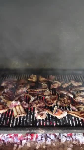 Grilled lamb ribs. Large metal grate with hot coals. Royalty Free Stock Footage