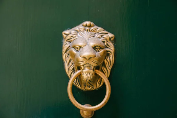 Antike Türklinke an einer grünen Holztür in Form eines Löwengesichts mit einem Klopfring im Mund. — Stockfoto