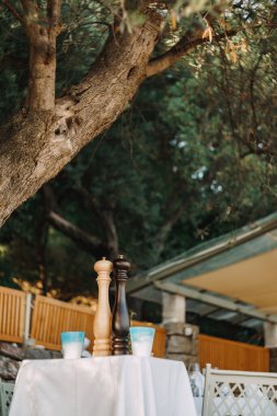 Bir bej tuzluk ve bir kahverengi biber karıştırıcı masanın üzerinde, ağacın altında iki bardak..